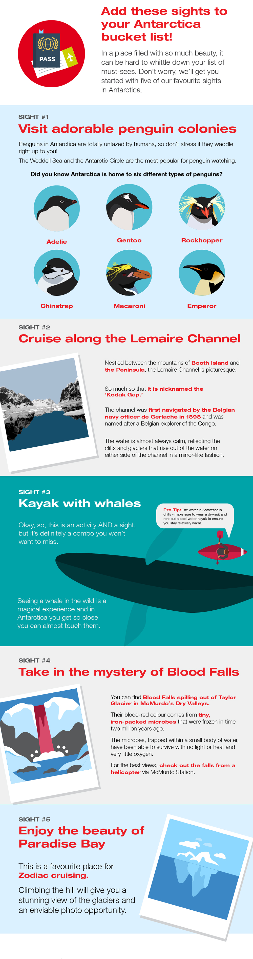 There is so much beauty to be seen in Antarctica, what sights are our top picks? There is so much beauty to be seen in Antarctica, what sights are our top picks?